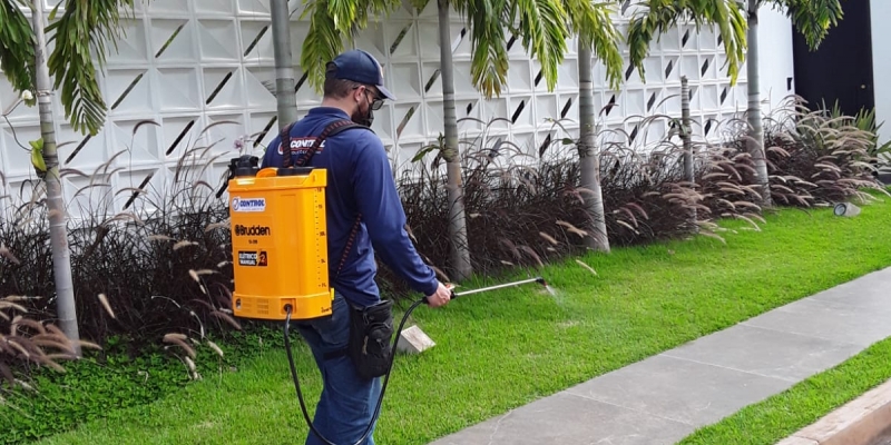 Importância do controle de pragas ser contínuo nos ambientes