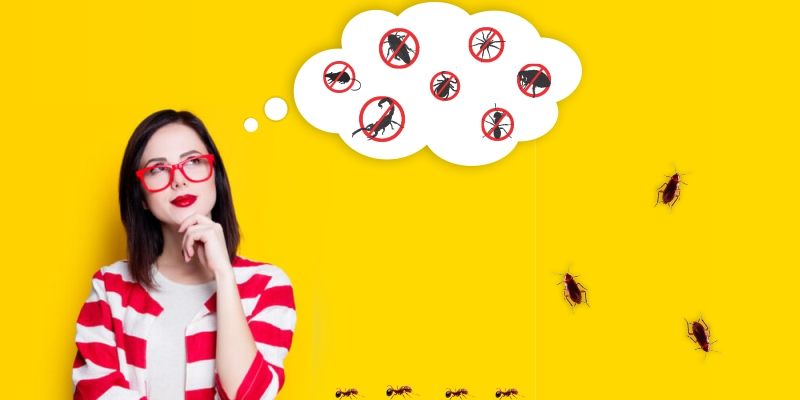 Como contratar empresa de qualidade para realizar o Controle de Pragas?