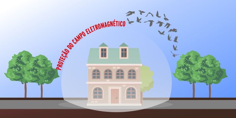 Novidade no Controle de Pombos
