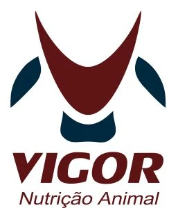 Empresa Parceira - vigor